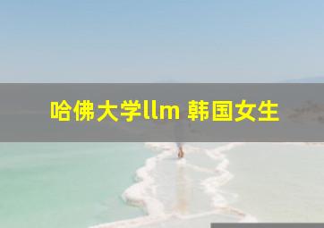 哈佛大学llm 韩国女生